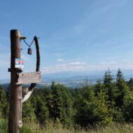 Więcej o: A w niedzielę… Łapsowa Polana!