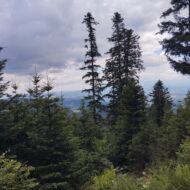 Więcej o: Wycieczka na Stare Wierchy w Gorcach